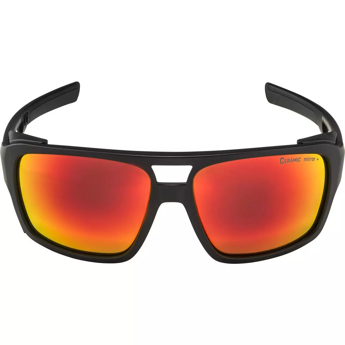 Alpina  SKYWALSH - Sportbrille