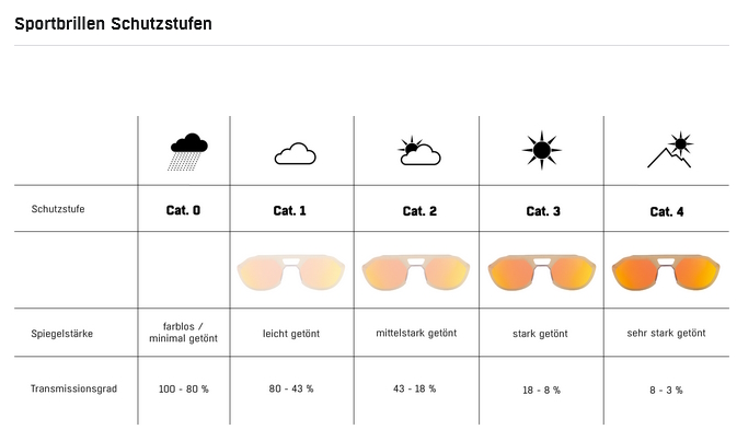 Alpina Overview Sportbrille