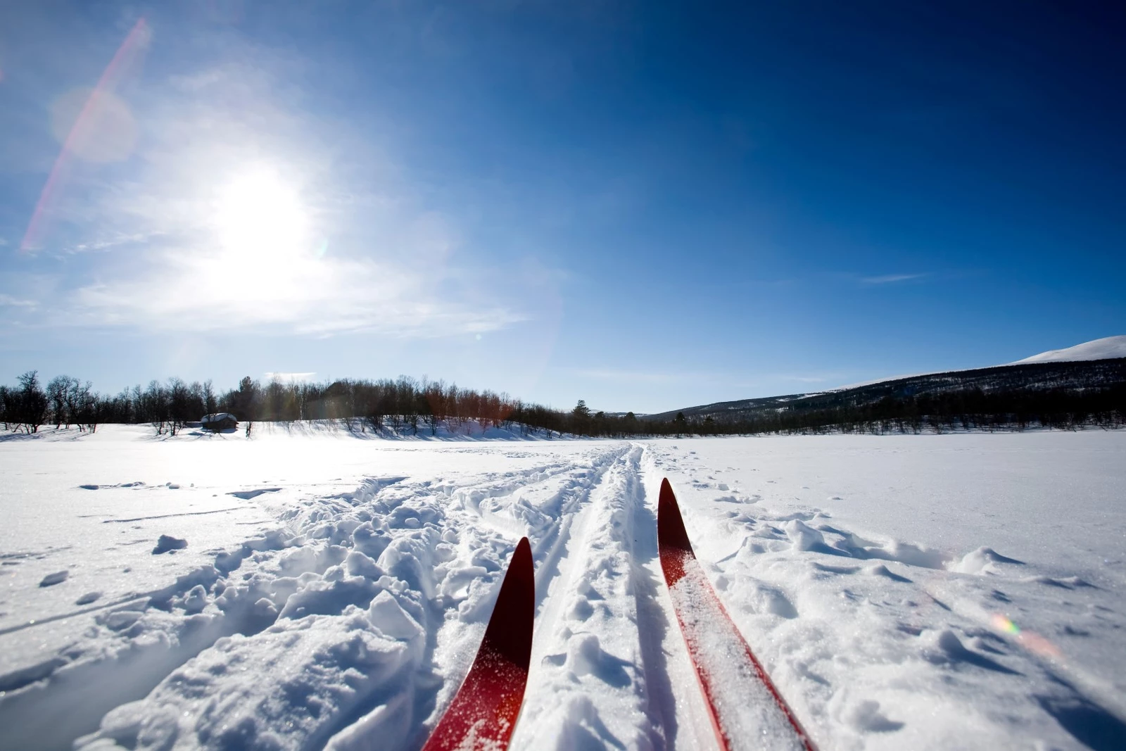 cross-country-skiing-2021-08-26-15-50-30-utc (Large)