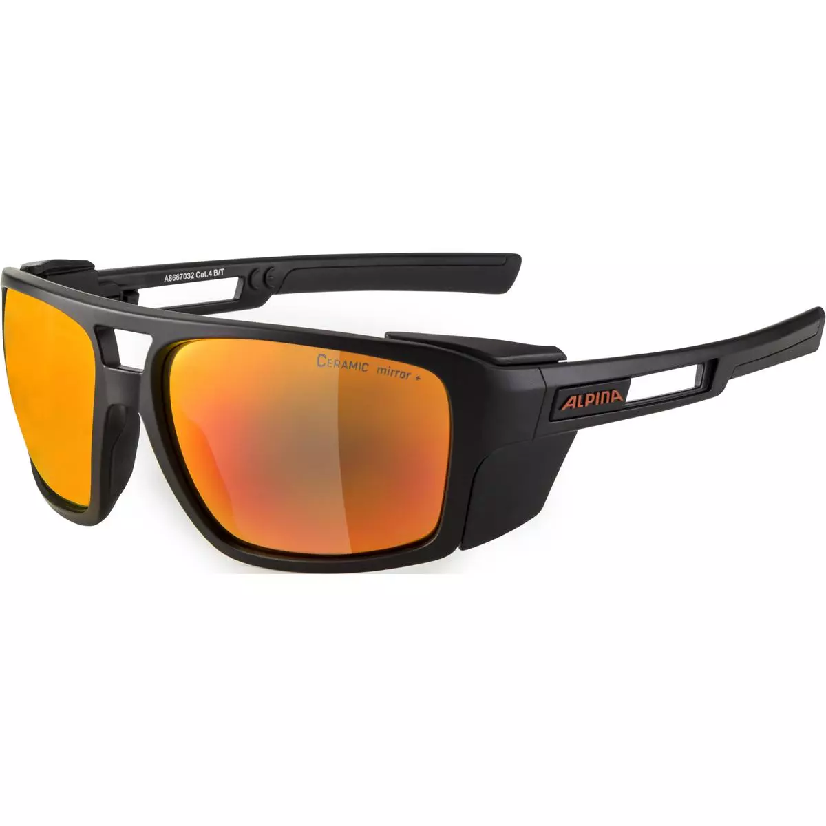 Alpina  SKYWALSH - Sportbrille