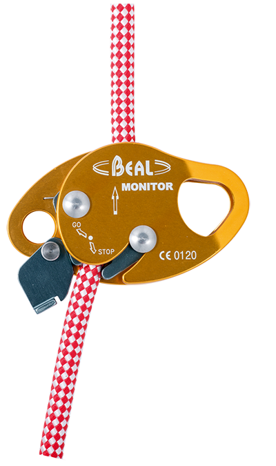 Beal Monitor