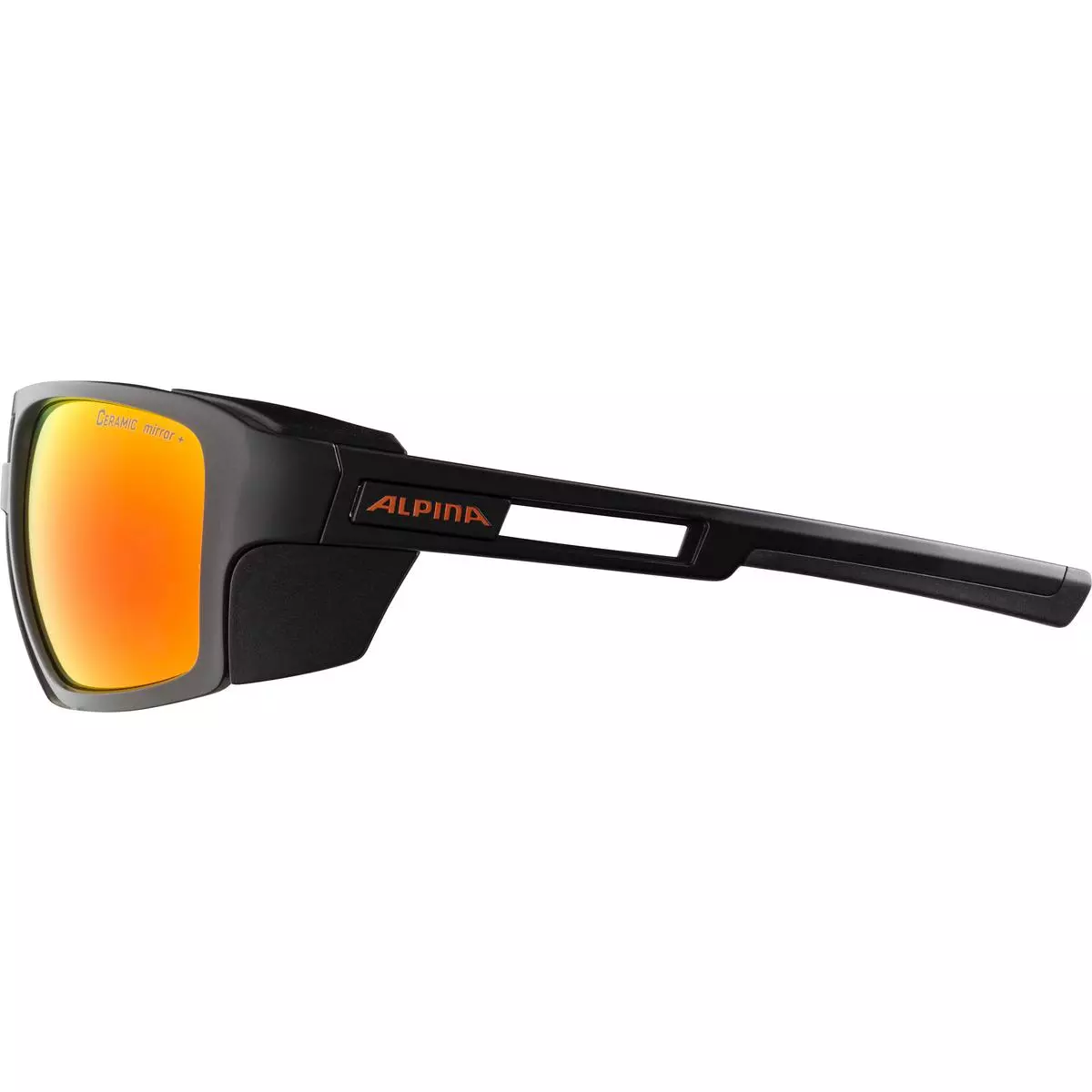 Alpina  SKYWALSH - Sportbrille