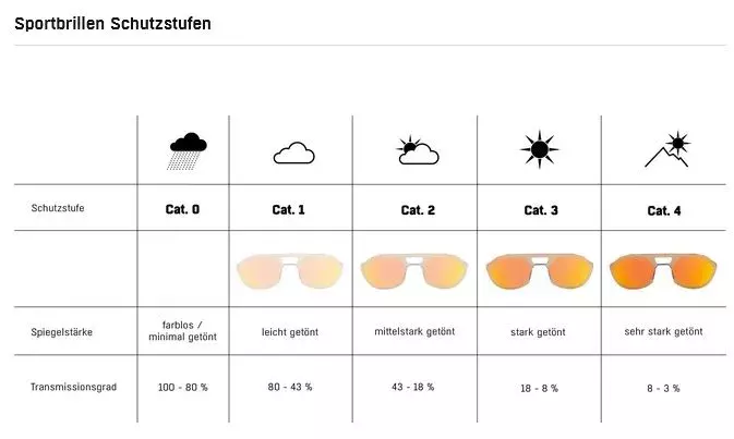 Alpina  SKYWALSH - Sportbrille