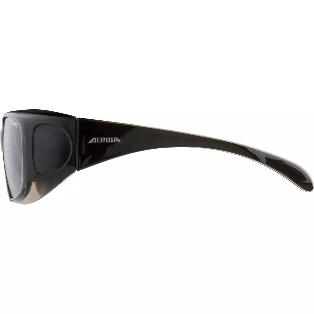 Alpina Overview Sportbrille